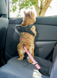 2PET® Adjustable Dog Seat Belt Strap | 2 Pack Choose Color