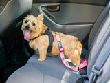 2PET® Adjustable Dog Seat Belt Strap | 2 Pack Choose Color