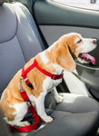 2PET® Adjustable Dog Seat Belt Strap | 2 Pack Choose Color